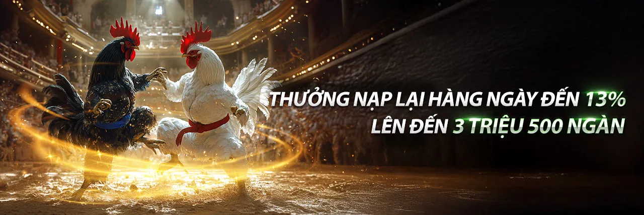 Hình ảnh chính của Blog 888p nhà cái uy tín